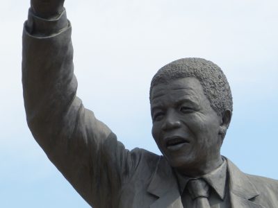 falco-south-africa-997563 falco-south-africa-997563